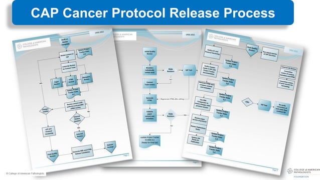 CAP_Foundation_Cancer_Protocols_June2023.pdf | Cancer | Diseases and ...