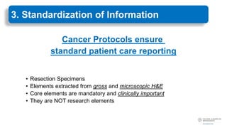CAP_Foundation_Cancer_Protocols_June2023.pdf