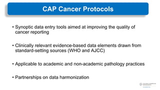 CAP_Foundation_Cancer_Protocols_June2023.pdf