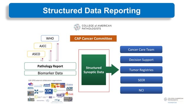 CAP_Foundation_Cancer_Protocols_June2023.pdf | Cancer | Diseases and ...