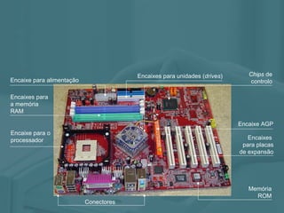 Encaixes  para placas de expansão Encaixes para a memória RAM Encaixe para o processador Memória ROM Chips  de controlo Conectores Encaixes para unidades ( drives ) Encaixe para alimentação Encaixe AGP 