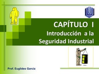 CAPÍTULO  I Introducción  a la Seguridad Industrial Prof. Euglides García 