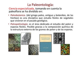• Paleobotanica. (del griego paleo, antiguo y botanikos, de las
hierbas) es una disciplina que estudia fósiles de vegetales
que vivieron en el pasado geológico.
• Paleopalinologia. es el área dedicada al estudio del polen y
esporas fósiles. Posible gracias a la composición química de
la estructura externa de los granos de polen y de las esporas.
La Paleontología:
Ciencia especializada, tomando en cuenta la
paleoflora se ha dividido en:
 