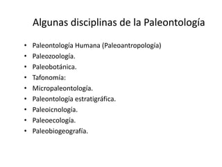 Algunas disciplinas de la Paleontología
• Paleontología Humana (Paleoantropología)
• Paleozoología.
• Paleobotánica.
• Tafonomía:
• Micropaleontología.
• Paleontología estratigráfica.
• Paleoicnología.
• Paleoecología.
• Paleobiogeografía.
 