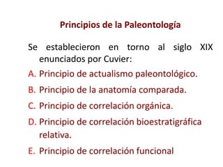 Principios de la Paleontología
Se establecieron en torno al siglo XIX
enunciados por Cuvier:
A. Principio de actualismo paleontológico.
B. Principio de la anatomía comparada.
C. Principio de correlación orgánica.
D. Principio de correlación bioestratigráfica
relativa.
E. Principio de correlación funcional
 