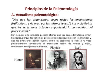 A.-Actualismo paleontológico:
Principios de la Paleontología
Hutton
Lyell
Playfair
“Dice que los organismos, cuyos restos los encontramos
fosilizados, se rigieron por las mismas leyes físicas y biológicas
que los seres vivos actuales suponiendo la continuidad del
proceso vital.”
Por ejemplo, este principio permite afirmar que los peces del Silúrico tenían
branquias, porque las tienen los peces actuales (aunque no sean los mismos); y
que los dinosaurios ponían huevos, como los cocodrilos, lo cual se ha visto
posteriormente corroborado al encontrarse fósiles de huevos y nidos,
conservados en algunos yacimientos.
 