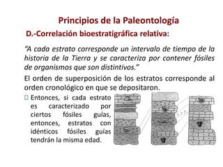 “A cada estrato corresponde un intervalo de tiempo de la
historia de la Tierra y se caracteriza por contener fósiles
de organismos que son distintivos.”
El orden de superposición de los estratos corresponde al
orden cronológico en que se depositaron.
Principios de la Paleontología
Entonces, si cada estrato
es caracterizado por
ciertos fósiles guías,
entonces, estratos con
idénticos fósiles guías
tendrán la misma edad.
D.-Correlación bioestratigráfica relativa:
 