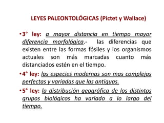 LEYES PALEONTOLÓGICAS (Pictet y Wallace)
•3° ley: a mayor distancia en tiempo mayor
diferencia morfológica.- las diferencias que
existen entre las formas fósiles y los organismos
actuales son más marcadas cuanto más
distanciados estén en el tiempo.
•4° ley: las especies modernas son mas complejas
perfectas y variadas que las antiguas.
•5° ley: la distribución geográfica de los distintos
grupos biológicos ha variado a lo largo del
tiempo.
 