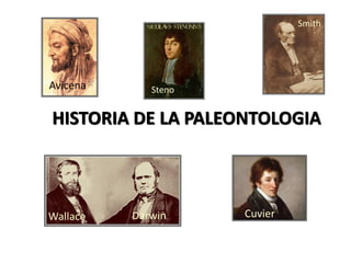 HISTORIA DE LA PALEONTOLOGIA
Smith
Avicena
Wallace Darwin Cuvier
Steno
 