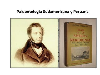 Paleontología Sudamericana y Peruana
•Alcide Dessalines d’Orbigny (Coueron, 1802 –
Pierrefitte, 1857)
Naturalista francés, fue especialista en
invertebrados y foraminíferos; poseía una formación
integral en Ciencias Naturales.
En América del Sur se encargó de recorrer
Argentina, Brasil, Uruguay, Chile, Bolivia y Perú.
Los resultados de sus observaciones los publicó en
«Voyage dans l’Amérique Méridionale» (1835-1847),
obra compuesta de nueve volúmenes, uno de ellos
dedicado a la Paleontología.
 