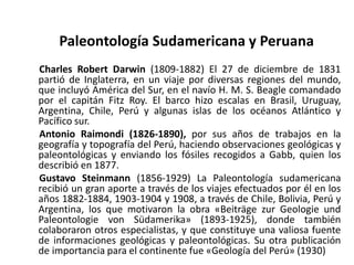 Paleontología Sudamericana y Peruana
Charles Robert Darwin (1809-1882) El 27 de diciembre de 1831
partió de Inglaterra, en un viaje por diversas regiones del mundo,
que incluyó América del Sur, en el navío H. M. S. Beagle comandado
por el capitán Fitz Roy. El barco hizo escalas en Brasil, Uruguay,
Argentina, Chile, Perú y algunas islas de los océanos Atlántico y
Pacífico sur.
Antonio Raimondi (1826-1890), por sus años de trabajos en la
geografía y topografía del Perú, haciendo observaciones geológicas y
paleontológicas y enviando los fósiles recogidos a Gabb, quien los
describió en 1877.
Gustavo Steinmann (1856-1929) La Paleontología sudamericana
recibió un gran aporte a través de los viajes efectuados por él en los
años 1882-1884, 1903-1904 y 1908, a través de Chile, Bolivia, Perú y
Argentina, los que motivaron la obra «Beiträge zur Geologie und
Paleontologie von Südamerika» (1893-1925), donde también
colaboraron otros especialistas, y que constituye una valiosa fuente
de informaciones geológicas y paleontológicas. Su otra publicación
de importancia para el continente fue «Geología del Perú» (1930)
 