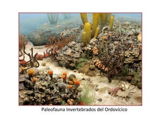 Paleofauna Invertebrados del Ordovícico
 