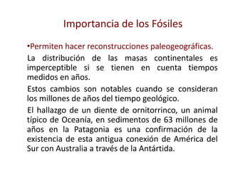 Importancia de los Fósiles
•Permiten hacer reconstrucciones paleogeográficas.
La distribución de las masas continentales es
imperceptible si se tienen en cuenta tiempos
medidos en años.
Estos cambios son notables cuando se consideran
los millones de años del tiempo geológico.
El hallazgo de un diente de ornitorrinco, un animal
típico de Oceanía, en sedimentos de 63 millones de
años en la Patagonia es una confirmación de la
existencia de esta antigua conexión de América del
Sur con Australia a través de la Antártida.
 