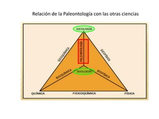 Relación de la Paleontología con las otras ciencias
 