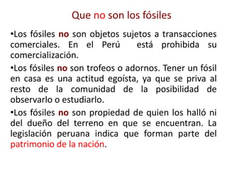 Que no son los fósiles
•Los fósiles no son objetos sujetos a transacciones
comerciales. En el Perú está prohibida su
comercialización.
•Los fósiles no son trofeos o adornos. Tener un fósil
en casa es una actitud egoísta, ya que se priva al
resto de la comunidad de la posibilidad de
observarlo o estudiarlo.
•Los fósiles no son propiedad de quien los halló ni
del dueño del terreno en que se encuentran. La
legislación peruana indica que forman parte del
patrimonio de la nación.
 