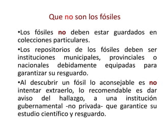 Que no son los fósiles
•Los fósiles no deben estar guardados en
colecciones particulares.
•Los repositorios de los fósiles deben ser
instituciones municipales, provinciales o
nacionales debidamente equipadas para
garantizar su resguardo.
•Al descubrir un fósil lo aconsejable es no
intentar extraerlo, lo recomendable es dar
aviso del hallazgo, a una institución
gubernamental -no privada- que garantice su
estudio científico y resguardo.
 