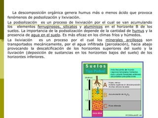 Contaminación abiotica,biotica.ppt
