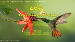 CUARTO SEMESTRE
FLORA Y FAUNA DEL ECUADOR
DOCENTE :
Biólogo Pesquero Jorge Cadena A.
Magister en Gestión Ambiental
 