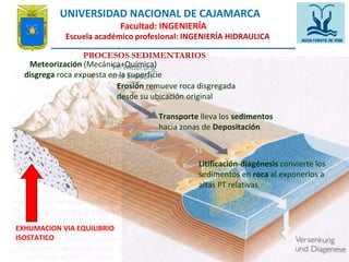 UNIVERSIDAD NACIONAL DE CAJAMARCA 
Facultad: INGENIERÍA 
Escuela académico profesional: INGENIERÍA HIDRAULICA 
PROCESOS SEDIMENTARIOS 
Meteorización (Mecánica+Química) 
disgrega roca expuesta en la superficie 
Erosión remueve roca disgregada 
desde su ubicación original 
Transporte lleva los sedimentos 
hacia zonas de Depositación 
Litificación-diagénesis convierte los 
sedimentos en roca al exponerlos a 
altas PT relativas 
EXHUMACION VIA EQUILIBRIO 
ISOSTATICO 
Curso: Geologia general Docente: Ing. Wilver Morales Céspedes UNC-EAPIG wmorales @unc.edu2.p8e 
 