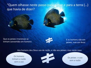 “Quem olhasse neste passo para o mar e para a terra (…)
que havia de dizer?

Que os peixes irracionais se
tinham convertido em homens

E os homens não em
peixes, mas em feras

Aos homens deu Deus uso de razão, e não aos peixes; mas neste caso:
Os homens
tinham a razão
sem o uso

Os peixes o uso
sem a razão

 