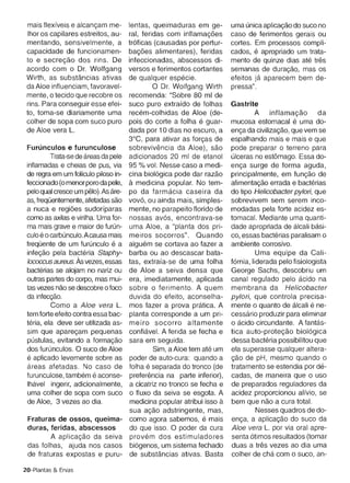 capacidade de funcionamen­           bacoes alimentares), feridas       cados, e apropriado um trata­
 to e secrecao dos rins. De           infeccionadas, abscessos di­       mento de quinze dias ate tres
 acordo com 0 Dr. Wolfgang            versos e ferimentos cortantes      semanas de duracao, mas os
 Wirth , as substancias ativas        de qualquer especie.               efeitos ja aparecem bem de­
 da Aloe influenciam, favoravel­              o Dr. Wolfgang Wirth       pressa".
 mente, 0 tecido que recobre os       recomenda: "Sobre 80 ml de
 rins. Para conseguir esse efei­      suco puro extrafdo de folhas       Gastrite
 to, toma-se diariamente uma          recern-colhidas de Aloe (de­              A       intlarnacao      da
 colher de sopa com suco puro         pois do corte a folha e guar­      mucosa estomacal e uma do­
 de Aloe vera L.                      dada por 10 dias no escuro, a      enca da civilizacao, que vem se
                                      3°C, para ativar as torcas de      espalhando mais e mais e que
 Furunculos e furunculose             sobrevivencia da Aloe) , sao       pode preparar 0 terreno para
          Trata-se de areas da pele   adicionados 20 ml de etanol        ulceras no est6mago. Essa do­
 inflamadas e cheias de pus, via      95 % vol. Nesse caso a medi­       enca surge de forma aguda,
 de regra em um folfculo pilose in­   cina biol6gica pode dar razao      principalmente, em funcao de
 feccionado (0 menor poro da pele,    a medicina popular. No tem­        allrnentacao errada e bacterias
 pelo qual cresce um pelo). As are­   po da tarrnacia caseira da         do tipo Helicobacter pylori, que
 as, frequenterneme, afetadas sao     vov6, ou ainda mais, simples­      sobrevivem sem serem inco­
 a nuca e reqioes sudoriparas         mente, no parapeito florido de     modadas pela forte acidez es­
 como as axilas e virilha. Uma for­   nossas av6s , encontrava-se        tomacal. Mediante uma quanti­
 ma mais grave e maior de furun­      uma Aloe, a "planta dos pri­       dade apropriada de alcali basi­
 culo e 0 carbunculo. A causa mais    meiros socorros". Quando           co , essas bacterias paralisam 0
 frequents de um furunculo a   e      alquern se cortava ao fazer a      ambiente corrosivo.
 intecao pela bacteria Staphy­        barba ou ao descascar bata­                   Uma equipe da Cali- .
 lococcusaureus. As vezes, essas      tas, extraia-se de uma folha       f6rnia , liderada pelo fisiologista
 bacterias se alojam no nariz ou      de Aloe a seiva densa que          George Sachs, descobriu um
 outras partes do corpo, mas mui­     era , imediatamente, aplicada      canal regulado pelo acido na
 tas vezes nao se descobre 0 foco     sobre 0 fer imento. A quem         membrana da Helicobacter
 da inteccao.                         duvida do efeito, aconselha­       pylori, que controla precisa­
          Como a Aloe vera L.         mos fazer a prova pratica, A       mente 0 quanta de alcali e ne­
 tem forte efeito contra essa bac­    planta corresponde a um pri­       cessario produzir para eliminar
 teria, ela deve ser utilizada as­    meiro socorro altamente            o acido circundante. A tantas­
 sim que aparecarn pequenas           confiavel, A ferida se fecha e     tica auto-protecao biol6gica
 pustulas, evitando a formacao        sara em seguida .                  dessa bacteria possibilitou que
 dos furunculos, 0 suco de Aloe                Sim , a Aloe tem ate um   ela superasse qualquer altera­
 e aplicado levemente sobre as        poder de auto-cura: quando a       g8.0 de pH , mesmo quando 0
 areas afetadas. No caso de           folha e separada do tronco (de     tratamento se estendia por de­
 furunculose, tambern e aconse­       preterencla na parte inferior) ,   cadas, de maneira que 0 usa
 lhavel ingerir, adicionalmente,      a cicatriz no tronco se fecha e    de preparados reguladores da
 uma colher de sopa com suco          o fluxo da seiva se esgota. A      acidez proporcionou alfvio, se
 de Aloe, 3 vezes ao dia .            medicina popular atribui isso a    bem que nao a cura total.
                                      sua acao adstringente, mas,                   Nesses quadros de do­
 Fraturas de ossos, queima­           como agora sabemos, e mais         enca, a aplicacao do suco da
 duras, feridas, abscessos            do que isso . 0 poder da cura      Aloe vera L. por via oral apre­
        A aplicacao da seiva          provern dos estimuladores          senta 6timos resultados (tomar
 das folhas, ajuda nos casos          bi6genos, um sistema fechado       duas a tres vezes ao dia uma
 de fraturas expostas e puru­         de substancias ativas. Basta       col her de cha com 0 suco, an­

20-Plantas & Ervas
 