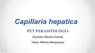 Capillaria hepatica
PET PARASITOLOGIA
Discente: Mariane Gomes
Tutora: Mônica Albuquerque
 