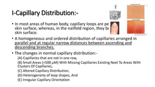 I-Capillary Distribution:-
• In most areas of human body, capillary loops are perpendicular to the
skin surface, whereas, in the nailfold region, they become parallel to the
skin surface.
• A homogeneous and ordered distribution of capillaries arranged in
parallel and at regular narrow distances between ascending and
descending branches.
• The changes in normal capillary distribution:-
(A) Capillaries that are not in one row,
(B) Small Areas (<500 𝜇M) With Missing Capillaries Existing Next To Areas With
Clusters Of Capillaries,
(C) Altered Capillary Distribution,
(D) Heterogeneity of loop shapes, And
(E) Irregular Capillary Orientation
 