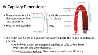 IV-Capillary Dimensions:
• These dimensions include the capillary width, capillary length, arterial limb
diameter, venous limb diameter, external diameter, internal diameter, and
the apex width.
• By using the available software programs,
• The width and height of a capillary normally indicate the health condition of
a person.
An individual with an elongated capillary usually suffers from
hypertension and arteriosclerosis.
while a shorter capillary often points to cardiac insufficiency.
 