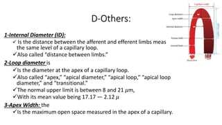 D-Others:
1-Internal Diameter (ID):
 Is the distance between the afferent and efferent limbs measured at
the same level of a capillary loop.
Also called “distance between limbs.”
2-Loop diameter is
Is the diameter at the apex of a capillary loop.
Also called “apex,” “apical diameter,” “apical loop,” “apical loop
diameter,” and “transitional.”
The normal upper limit is between 8 and 21 𝜇m,
With its mean value being 17.17 ― 2.12 𝜇
3-Apex Width: the
Is the maximum open space measured in the apex of a capillary.
 