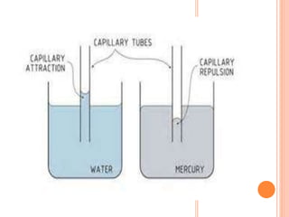 power point presentation on capillary action | PPTX