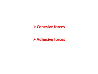 Cohesive forces
Adhesive forces