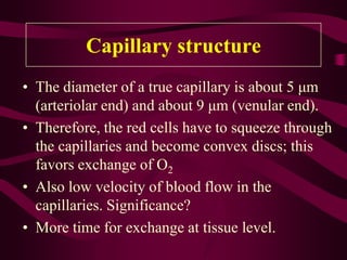 Capillary circulation & fluid exchange.pdf