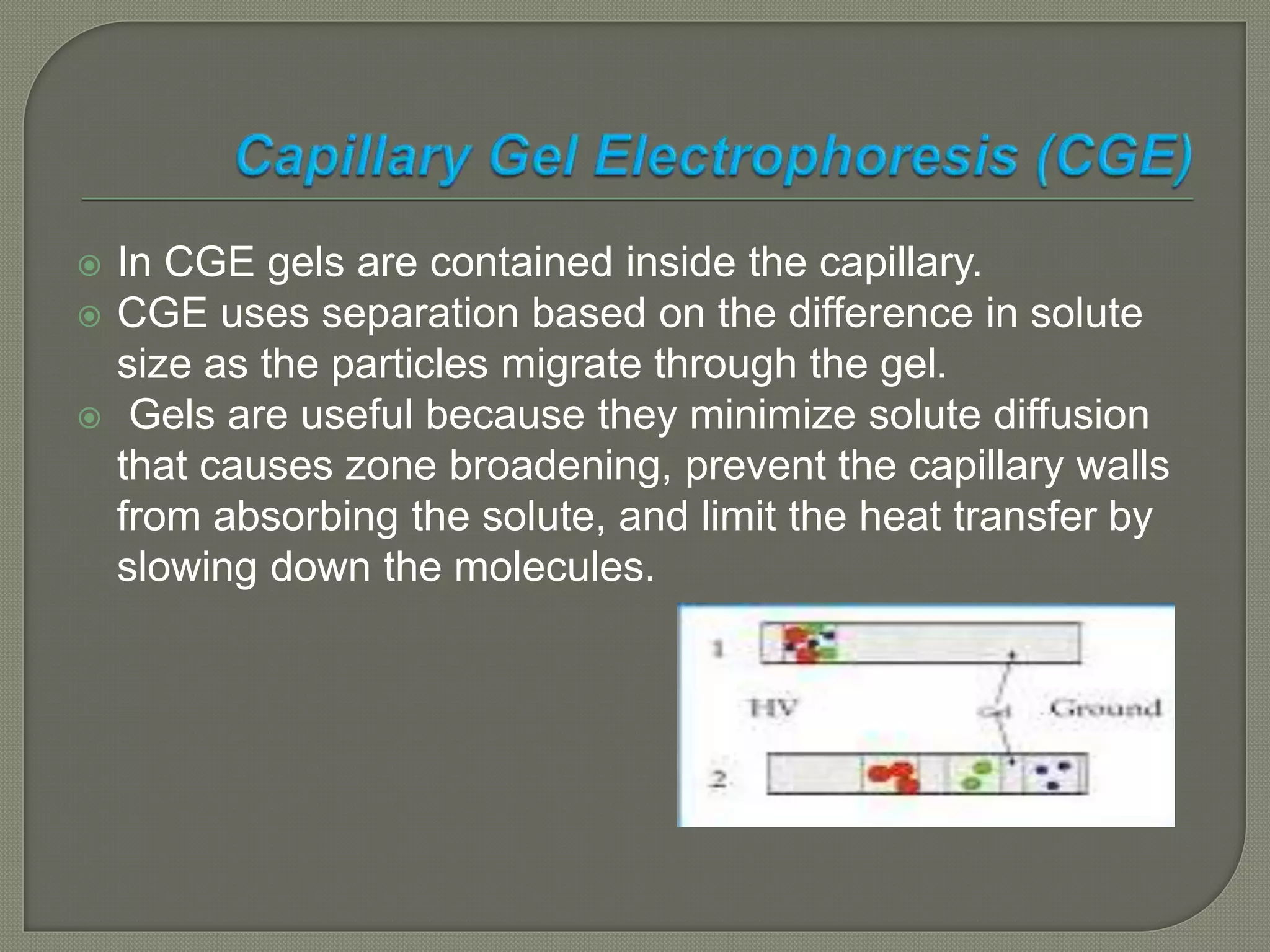 Cge Electropherogram Capillary electrophoresis | PPTX