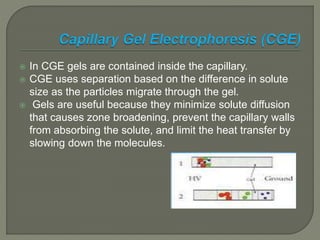  In CGE gels are contained inside the capillary.
 CGE uses separation based on the difference in solute
size as the particles migrate through the gel.
 Gels are useful because they minimize solute diffusion
that causes zone broadening, prevent the capillary walls
from absorbing the solute, and limit the heat transfer by
slowing down the molecules.
 