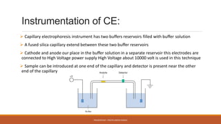 Capillary electrophoresis | PDF