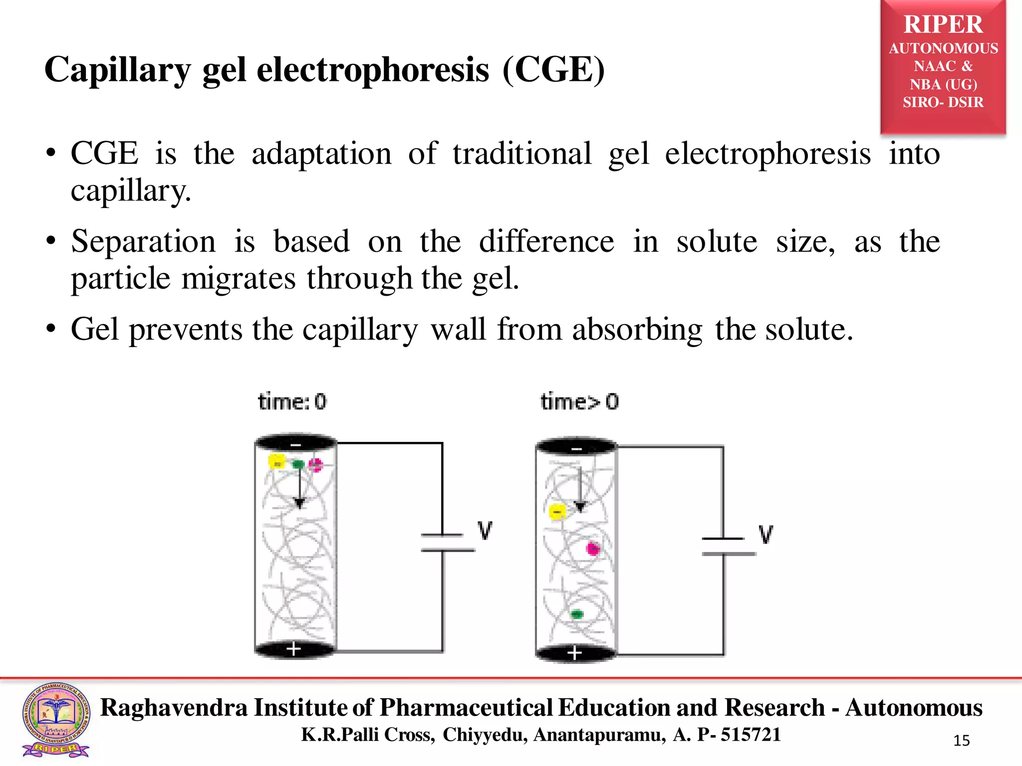 Capillary Electrophoresis | PDF