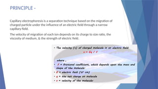 CAPILLARY ELECTROPHORESIS.pptxBy khushi katkar | PPTX