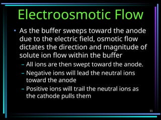 Anode Buffer Capillary electrophoresis mpharm pharmaceuticals mpat ppt | PPT