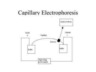 Capillary Electrophoresis
 
