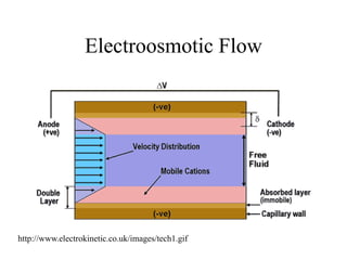 Electroosmotic Flow
http://www.electrokinetic.co.uk/images/tech1.gif
 