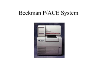 Beckman P/ACE System
 