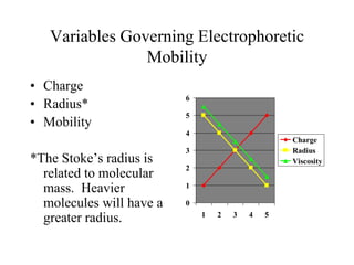 Variables Governing Electrophoretic
Mobility
• Charge
• Radius*
• Mobility
*The Stoke’s radius is
related to molecular
mass. Heavier
molecules will have a
greater radius.
0
1
2
3
4
5
6
1 2 3 4 5
Charge
Radius
Viscosity
 