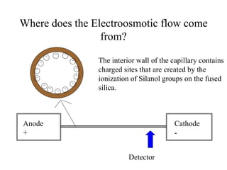 Where does the Electroosmotic flow come
from?
Anode
+
Cathode
-
Detector
The interior wall of the capillary contains
charged sites that are created by the
ionization of Silanol groups on the fused
silica.
 