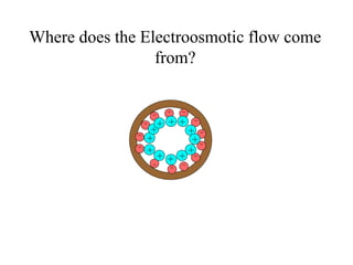 Where does the Electroosmotic flow come
from?
 