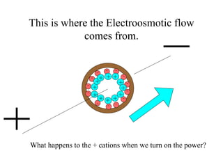 This is where the Electroosmotic flow
comes from.
What happens to the + cations when we turn on the power?
 