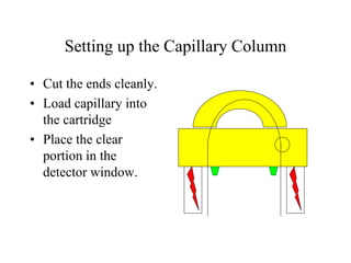 Setting up the Capillary Column
• Cut the ends cleanly.
• Load capillary into
the cartridge
• Place the clear
portion in the
detector window.
 