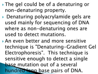  The gel could be of a denaturing or
non-denaturing property.
 Denaturing polyacrylamide gels are
used mainly for sequencing of DNA
where as non-denaturing ones are
used to detect mutations.
 An even better and more sensitive
technique is "Denaturing-Gradient Gel
Electrophoresis". This technique is
sensitive enough to detect a single
base mutation out of a several
hundred long base pairs of DNA.
 