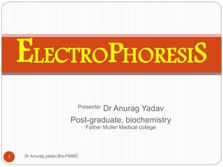 Presenter Dr Anurag Yadav
Post-graduate, biochemistry
Father Muller Medical college
Dr Anurag yadav,Bio-FMMC1
ELECTROPHORESIS
 