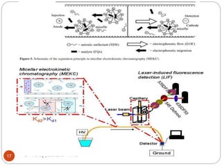 Dr Anurag yadav,Bio-FMMC17
 