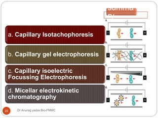 Dr Anurag yadav,Bio-FMMC22
a. Capillary Isotachophoresis
b. Capillary gel electrophoresis
c. Capillary isoelectric
Focussing Electrophoresis
d. Micellar electrokinetic
chromatography
summa
ry
 